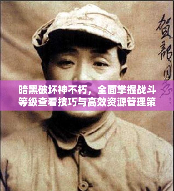 暗黑破坏神不朽，全面掌握战斗等级查看技巧与高效资源管理策略