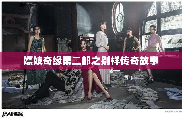 嫖妓奇缘第二部之别样传奇故事