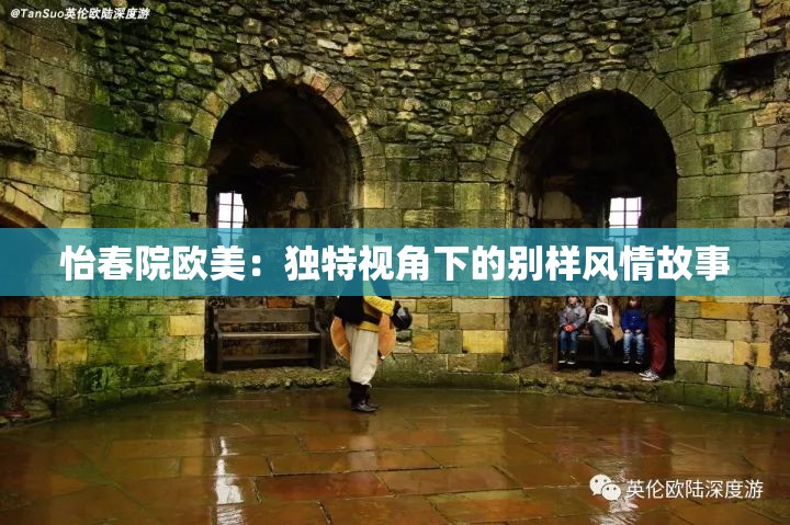 怡春院欧美：独特视角下的别样风情故事