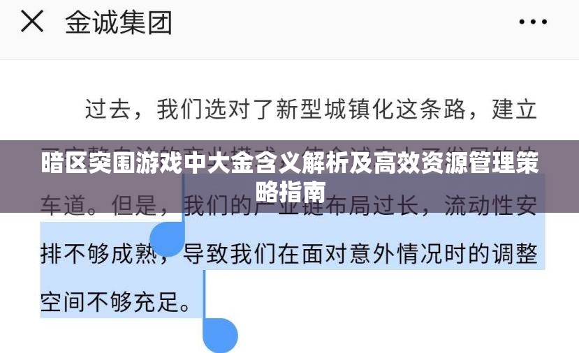 暗区突围游戏中大金含义解析及高效资源管理策略指南