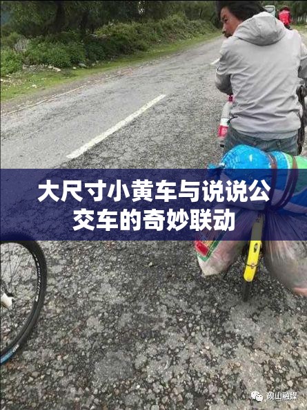 大尺寸小黄车与说说公交车的奇妙联动