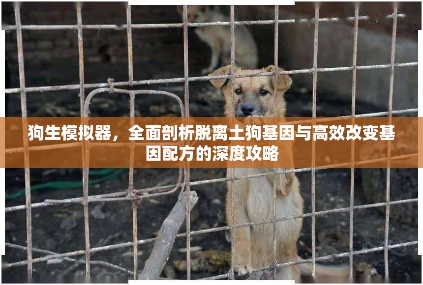 狗生模拟器，全面剖析脱离土狗基因与高效改变基因配方的深度攻略