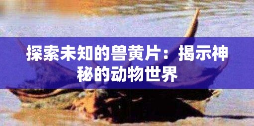 探索未知的兽黄片：揭示神秘的动物世界