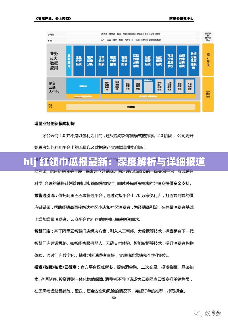 hlj 红领巾瓜报最新：深度解析与详细报道