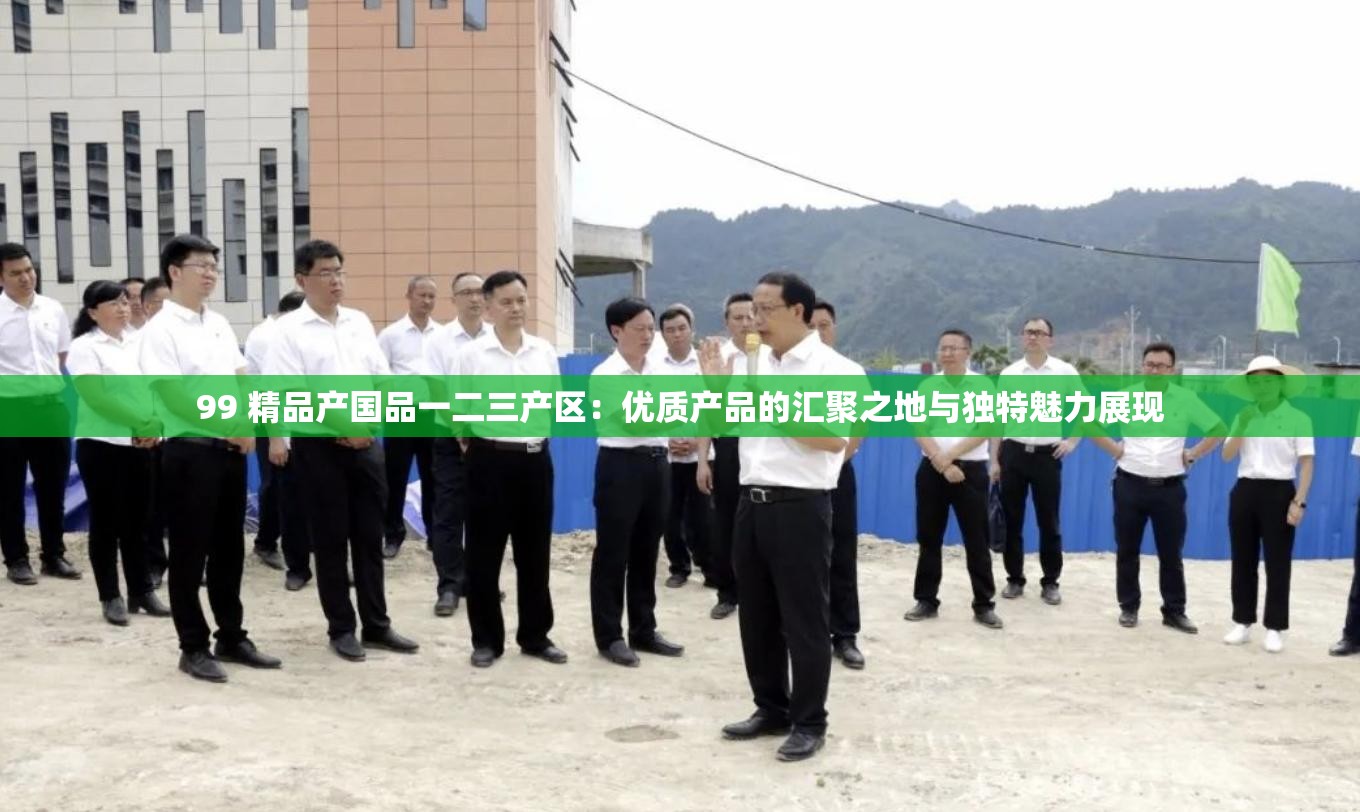 99 精品产国品一二三产区：优质产品的汇聚之地与独特魅力展现
