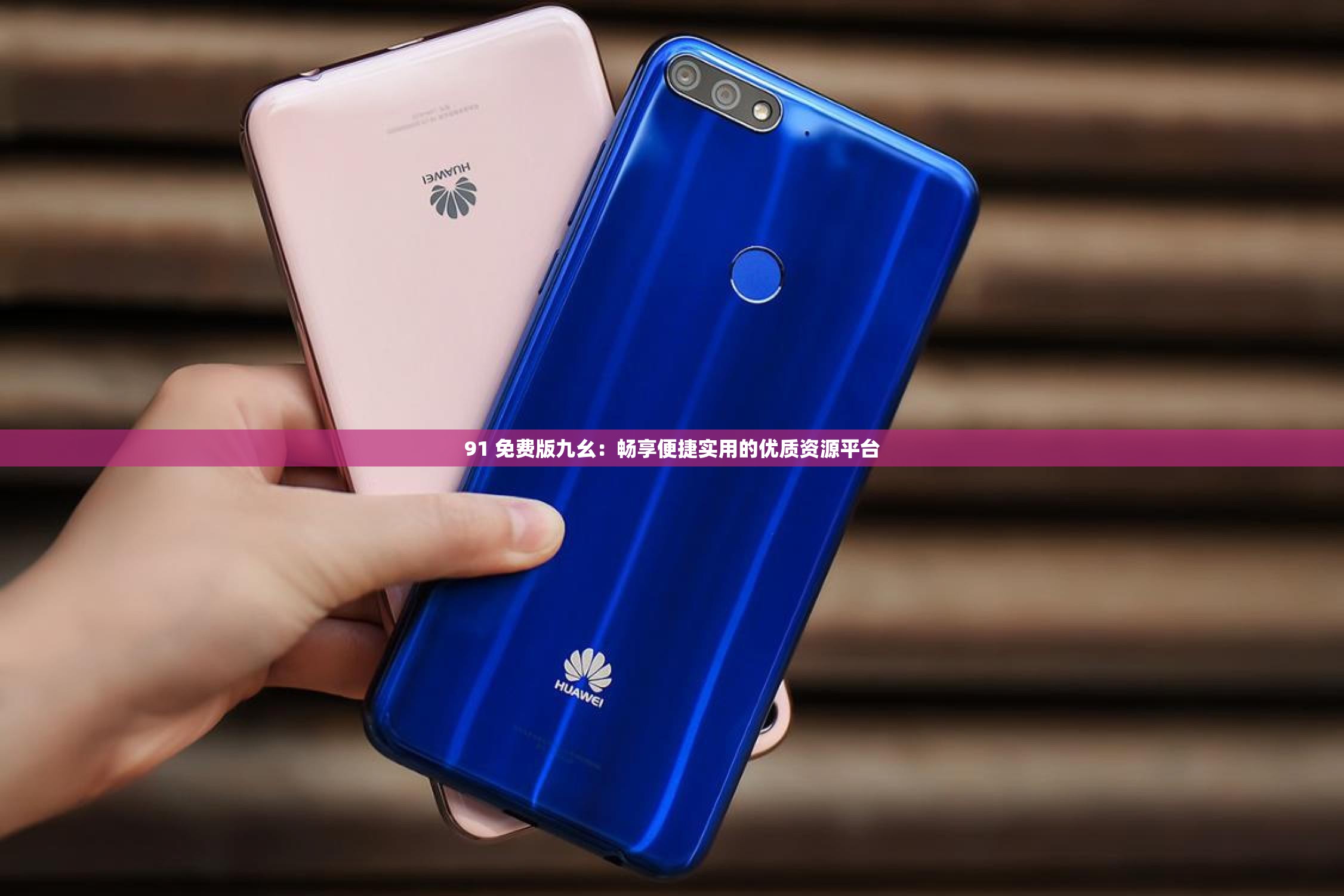 91 免费版九幺：畅享便捷实用的优质资源平台