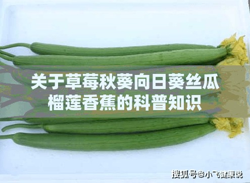 关于草莓秋葵向日葵丝瓜榴莲香蕉的科普知识