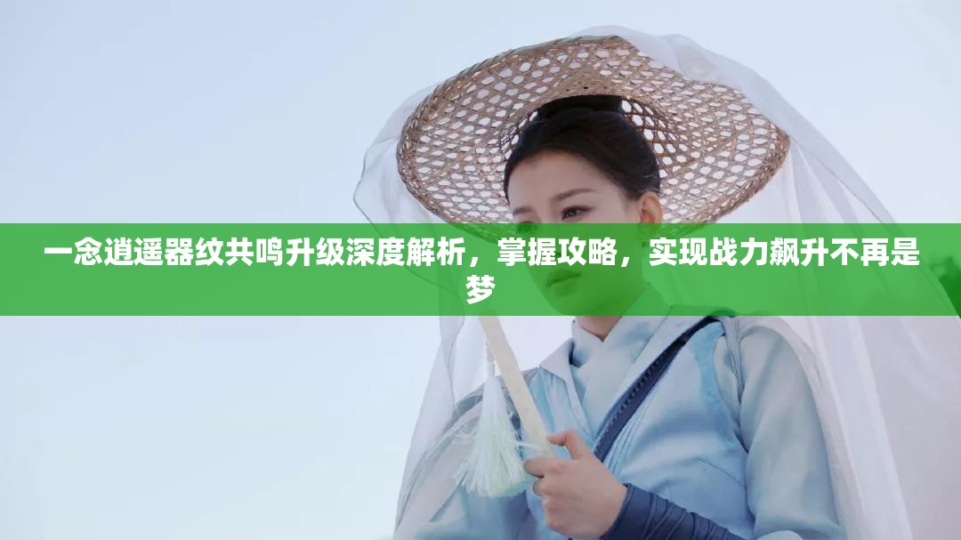 一念逍遥器纹共鸣升级深度解析，掌握攻略，实现战力飙升不再是梦