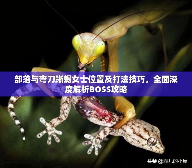部落与弯刀蜥蜴女士位置及打法技巧，全面深度解析BOSS攻略