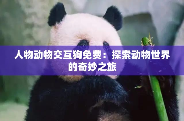 人物动物交互狗免费：探索动物世界的奇妙之旅