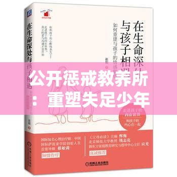 公开惩戒教养所：重塑失足少年的希望之地