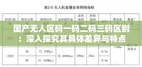 国产无人区码一码二码三码区别：深入探究其具体差异与特点