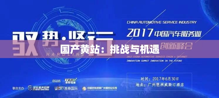 国产黄站：挑战与机遇
