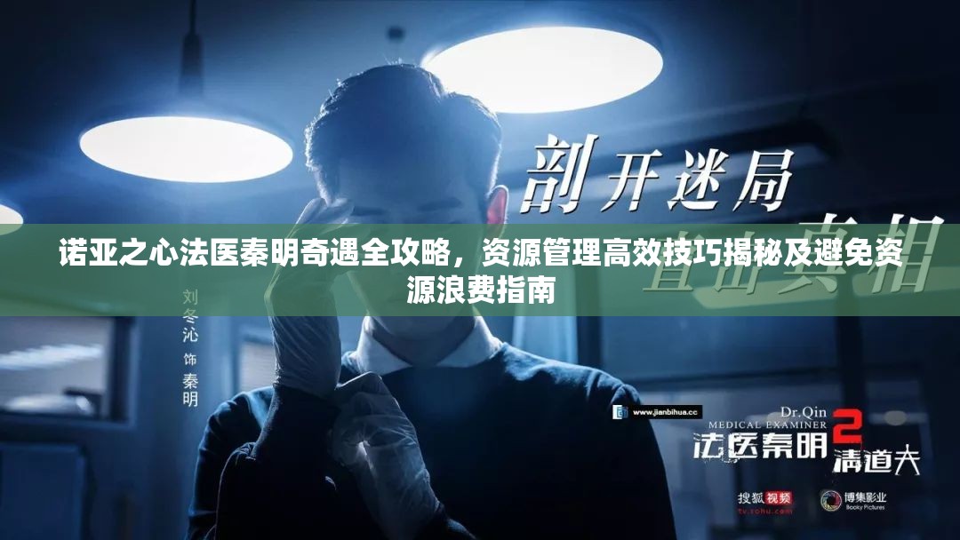 诺亚之心法医秦明奇遇全攻略，资源管理高效技巧揭秘及避免资源浪费指南