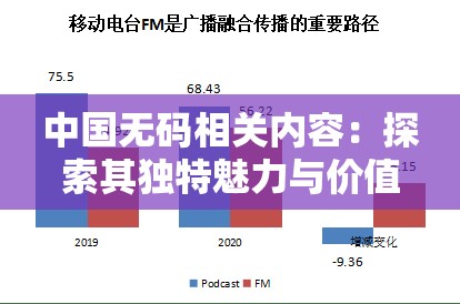 中国无码相关内容：探索其独特魅力与价值