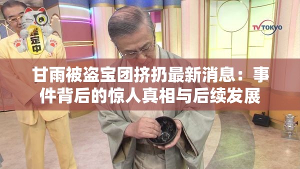 甘雨被盗宝团挤扔最新消息：事件背后的惊人真相与后续发展