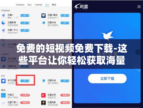免费的短视频免费下载-这些平台让你轻松获取海量资源