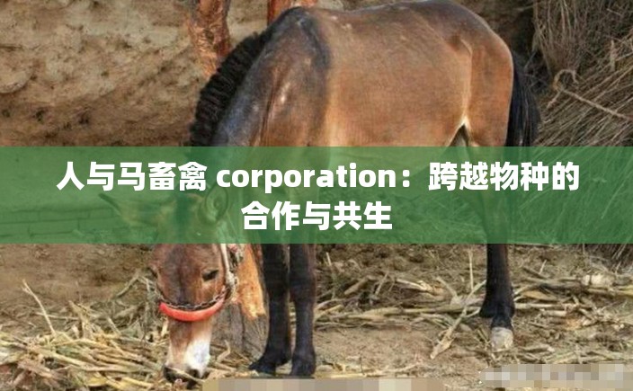 人与马畜禽 corporation：跨越物种的合作与共生