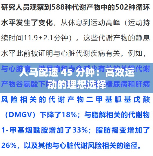 人马配速 45 分钟：高效运动的理想选择