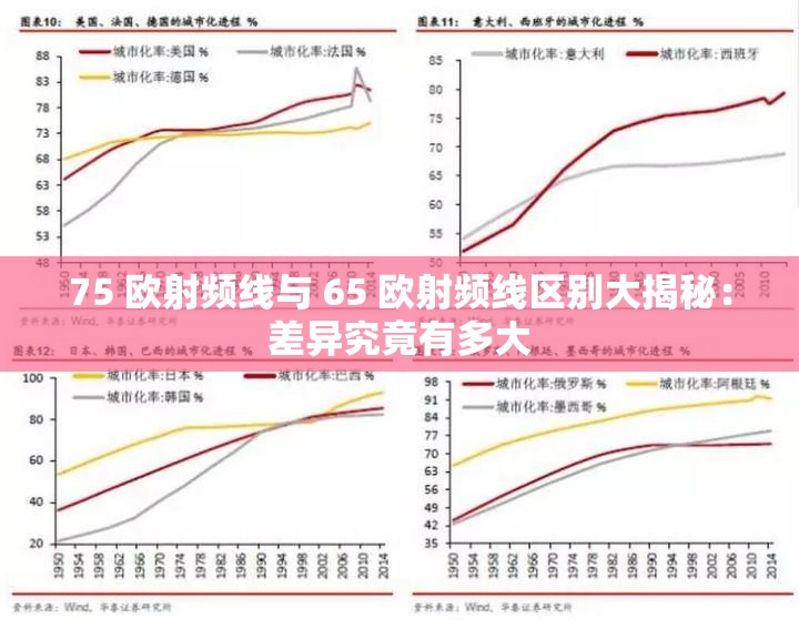 75 欧射频线与 65 欧射频线区别大揭秘：差异究竟有多大