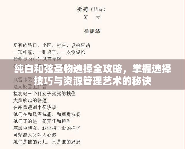 纯白和弦圣物选择全攻略，掌握选择技巧与资源管理艺术的秘诀