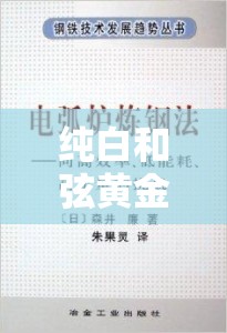 纯白和弦黄金海10层副本挑战攻略，全面解析高效打法策略