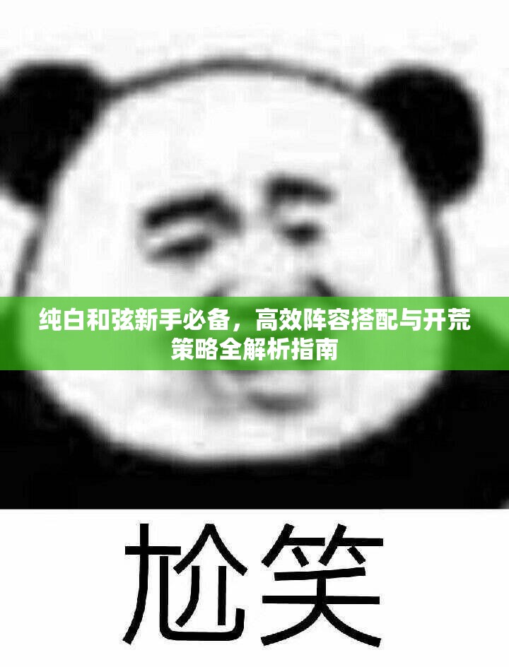 纯白和弦新手必备，高效阵容搭配与开荒策略全解析指南