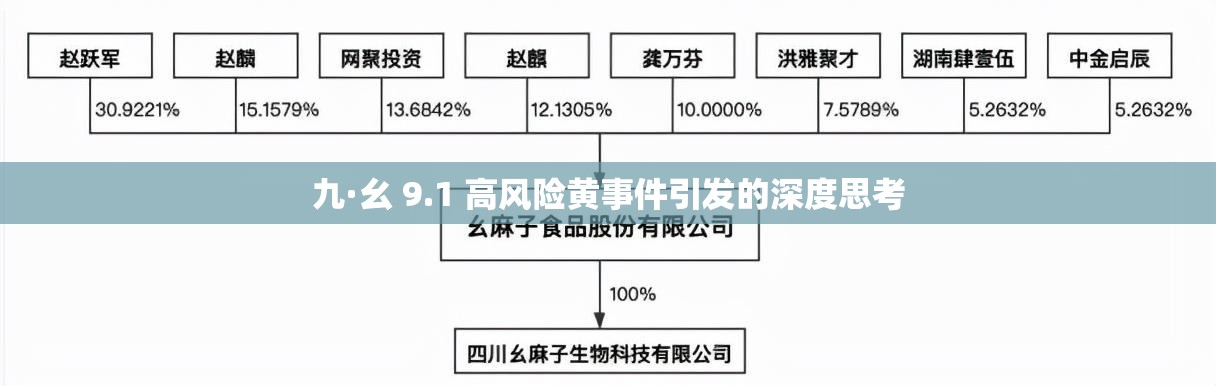 九·幺 9.1 高风险黄事件引发的深度思考