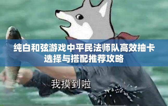 纯白和弦游戏中平民法师队高效抽卡选择与搭配推荐攻略