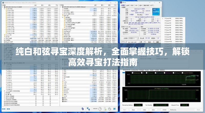 纯白和弦寻宝深度解析，全面掌握技巧，解锁高效寻宝打法指南