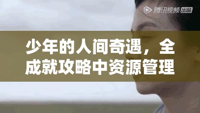 少年的人间奇遇，全成就攻略中资源管理的重要性及高效实战策略解析