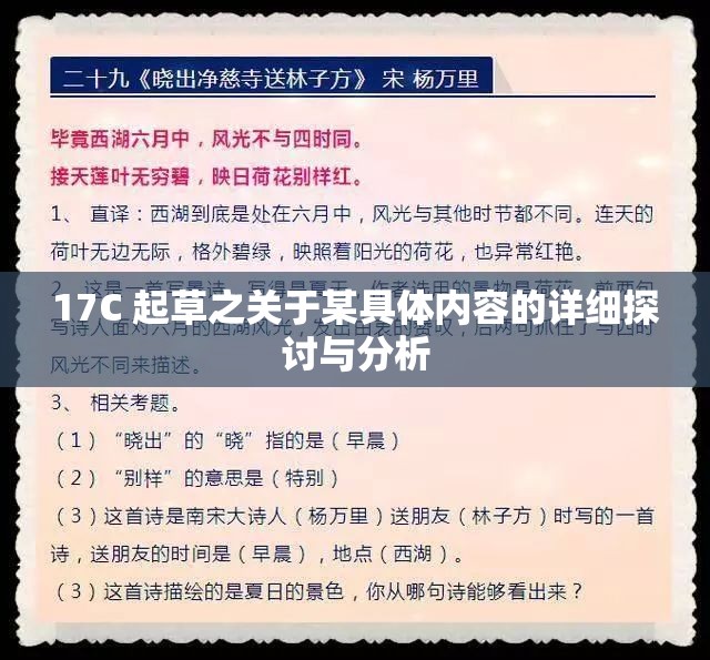 17C 起草之关于某具体内容的详细探讨与分析