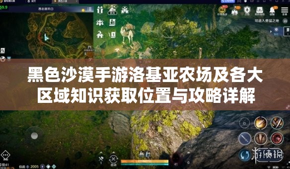 黑色沙漠手游洛基亚农场及各大区域知识获取位置与攻略详解