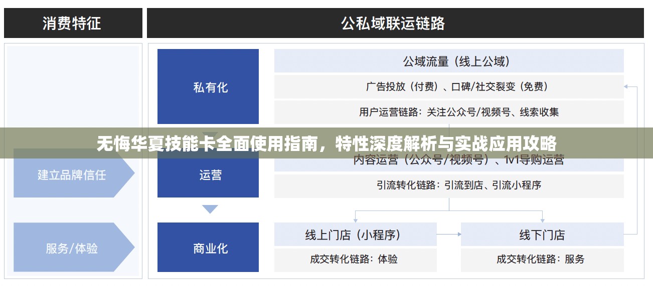 无悔华夏技能卡全面使用指南，特性深度解析与实战应用攻略