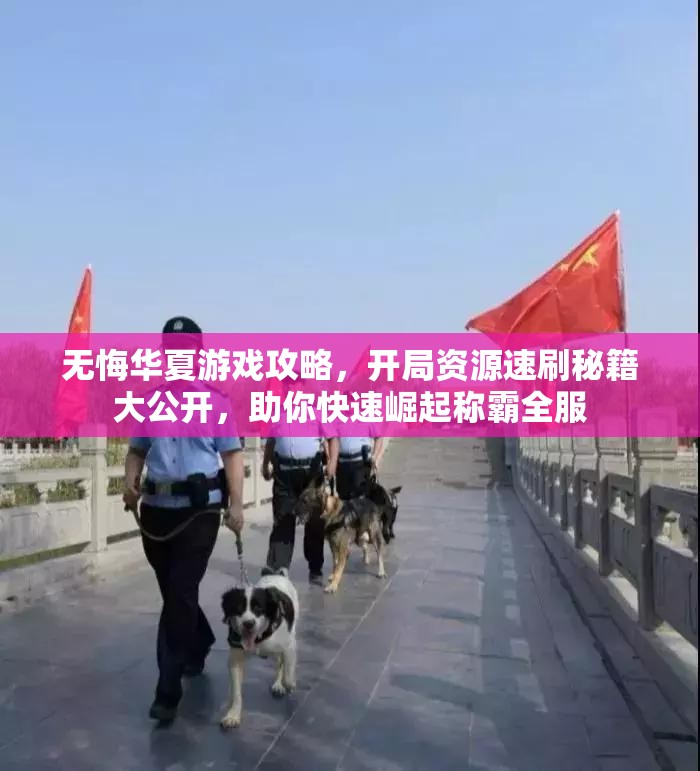 无悔华夏游戏攻略，开局资源速刷秘籍大公开，助你快速崛起称霸全服