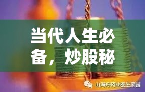 当代人生必备，炒股秘籍——解锁并实现财富增值的隐形金钥匙