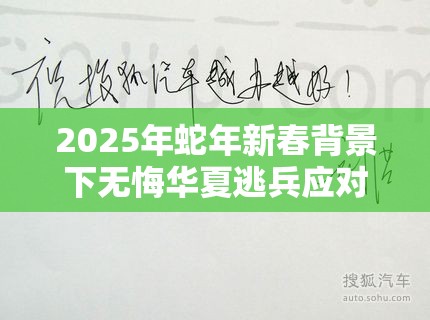 2025年蛇年新春背景下无悔华夏逃兵应对策略，重塑军纪以确保战场稳操胜券