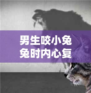 男生咬小兔兔时内心复杂且隐秘的心理探究