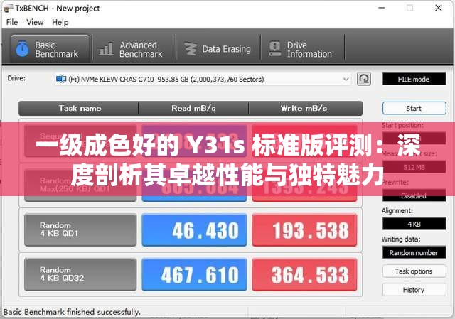一级成色好的 Y31s 标准版评测：深度剖析其卓越性能与独特魅力