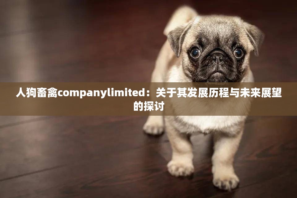 人狗畜禽companylimited：关于其发展历程与未来展望的探讨