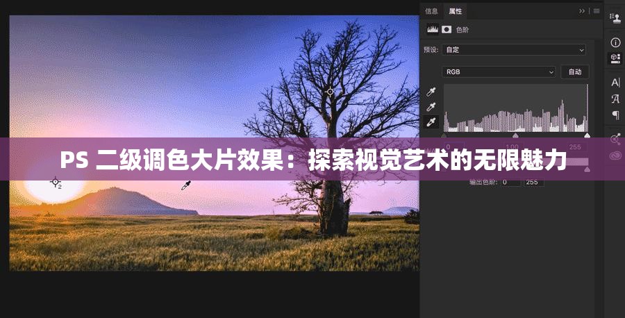 PS 二级调色大片效果：探索视觉艺术的无限魅力
