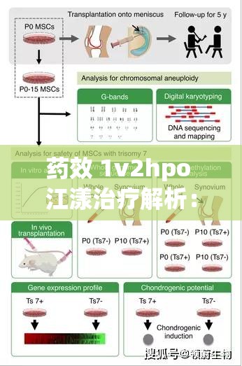 药效 1v2hpo 江漾治疗解析：其独特疗效与应用探索