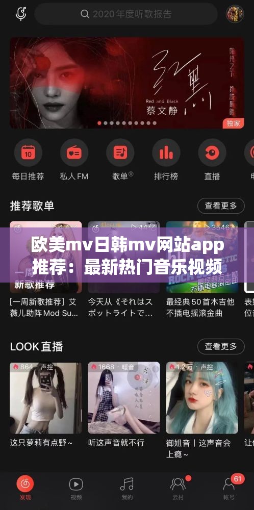 欧美mv日韩mv网站app推荐：最新热门音乐视频平台，全球流行音乐一键畅享