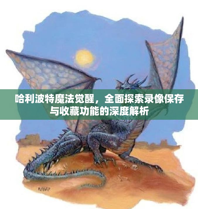 哈利波特魔法觉醒，全面探索录像保存与收藏功能的深度解析