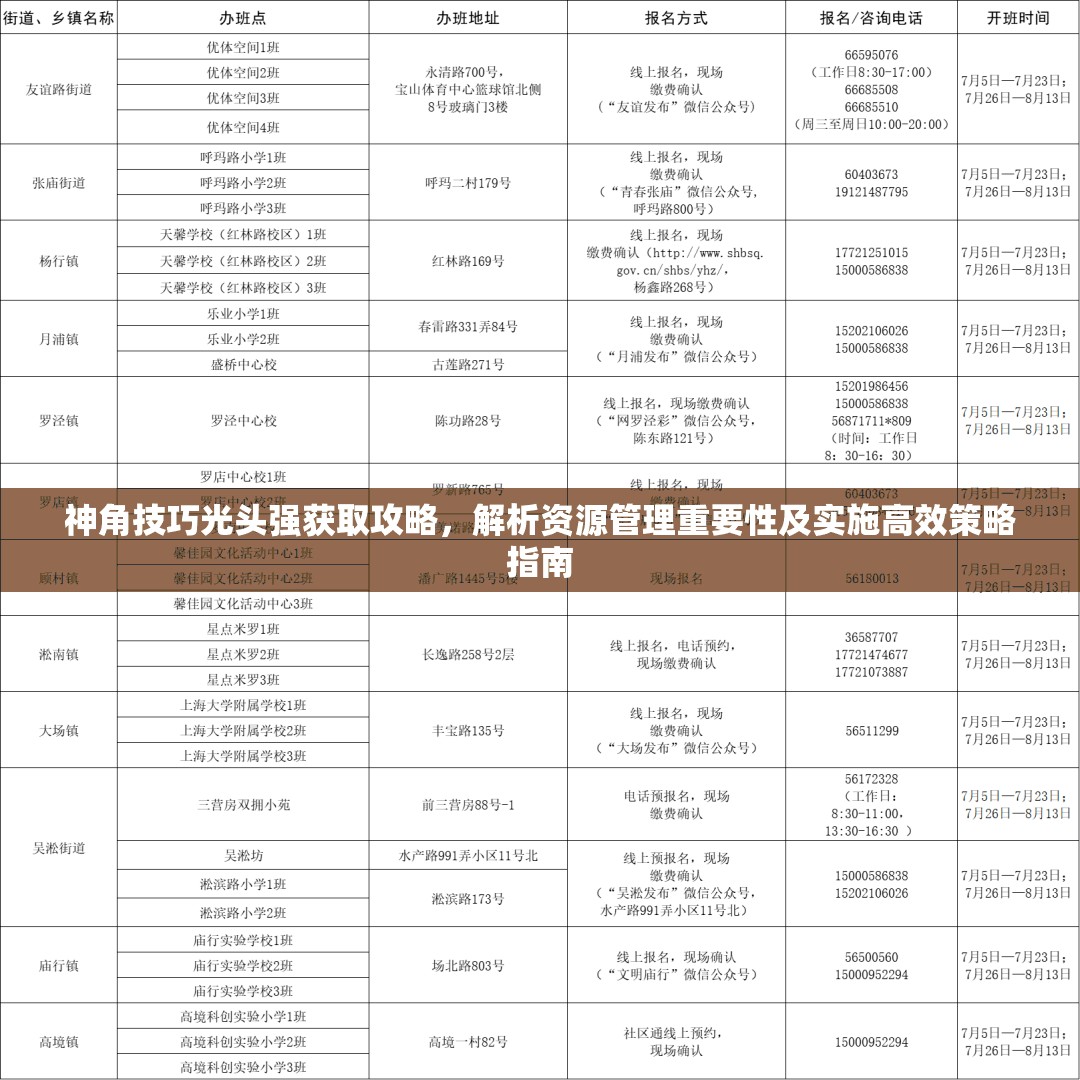 神角技巧光头强获取攻略，解析资源管理重要性及实施高效策略指南