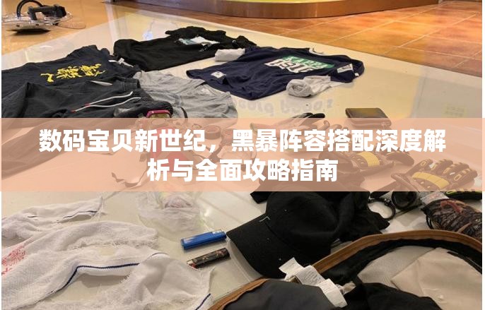 数码宝贝新世纪，黑暴阵容搭配深度解析与全面攻略指南