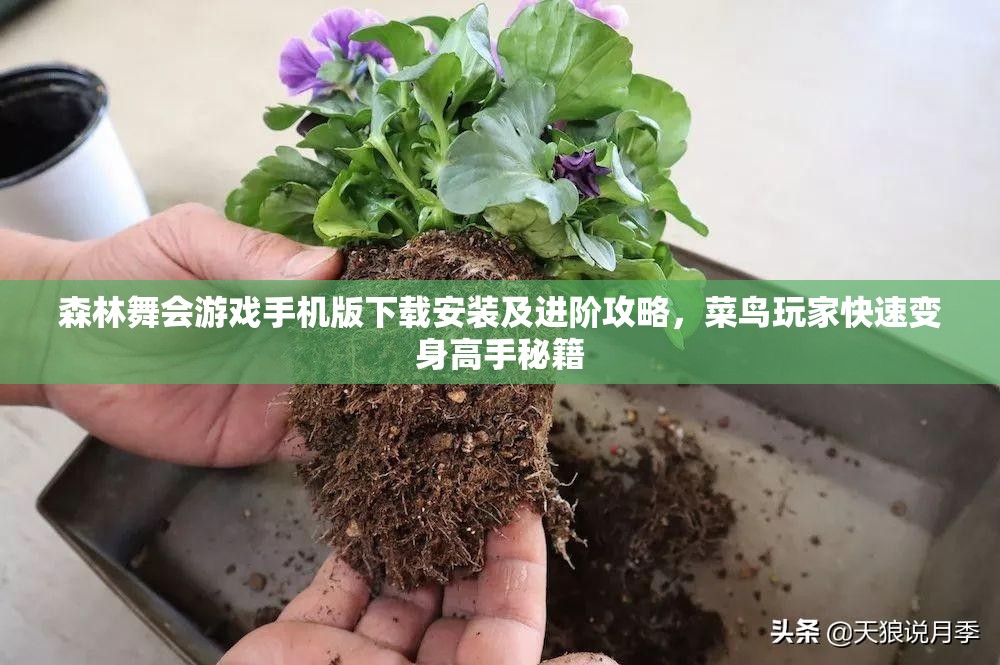 森林舞会游戏手机版下载安装及进阶攻略，菜鸟玩家快速变身高手秘籍