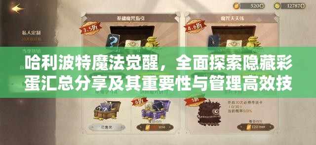 哈利波特魔法觉醒，全面探索隐藏彩蛋汇总分享及其重要性与管理高效技巧