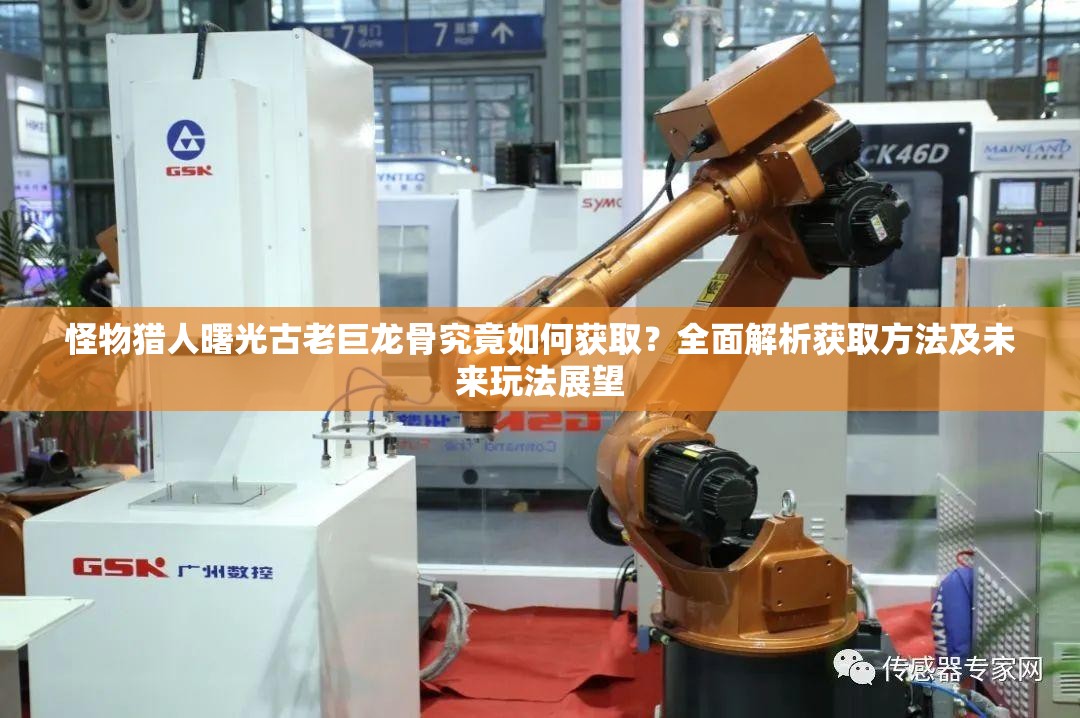 怪物猎人曙光古老巨龙骨究竟如何获取？全面解析获取方法及未来玩法展望