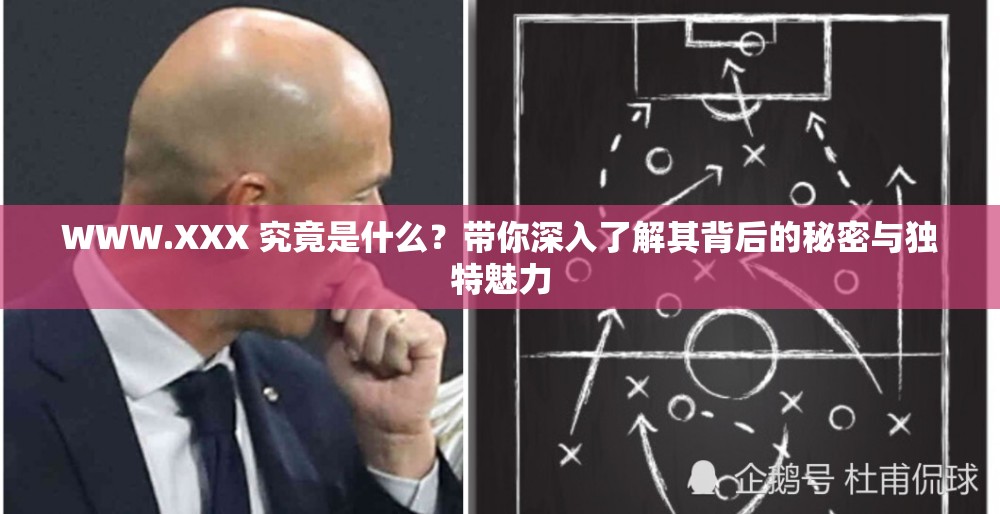 WWW.XXX 究竟是什么？带你深入了解其背后的秘密与独特魅力